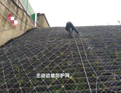 绥化交通护栏网的使用寿命是多长？